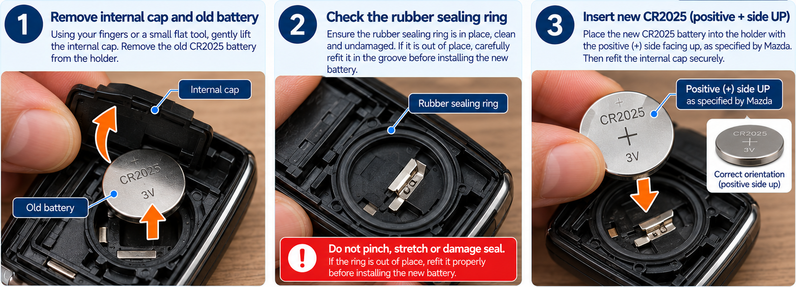 Lift the cap and replace the CR2025